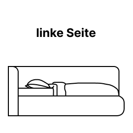  Linke